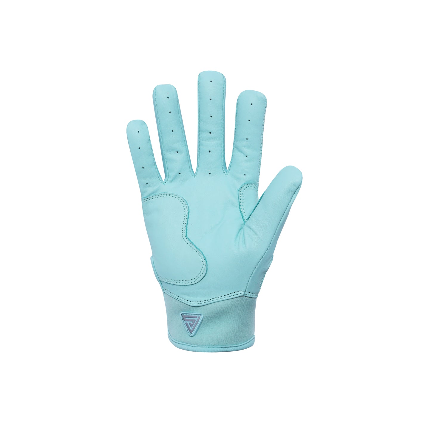 【PREMIUM MODEL】S-VOLTA バッティンググローブ Tiffany Blue